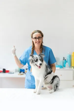 Servicios para tus mascotas